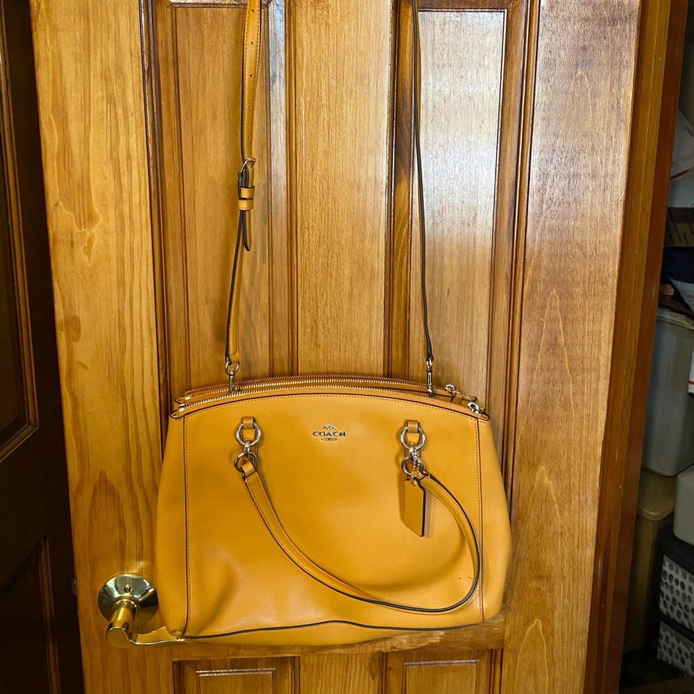 Coach Lillie Carryall